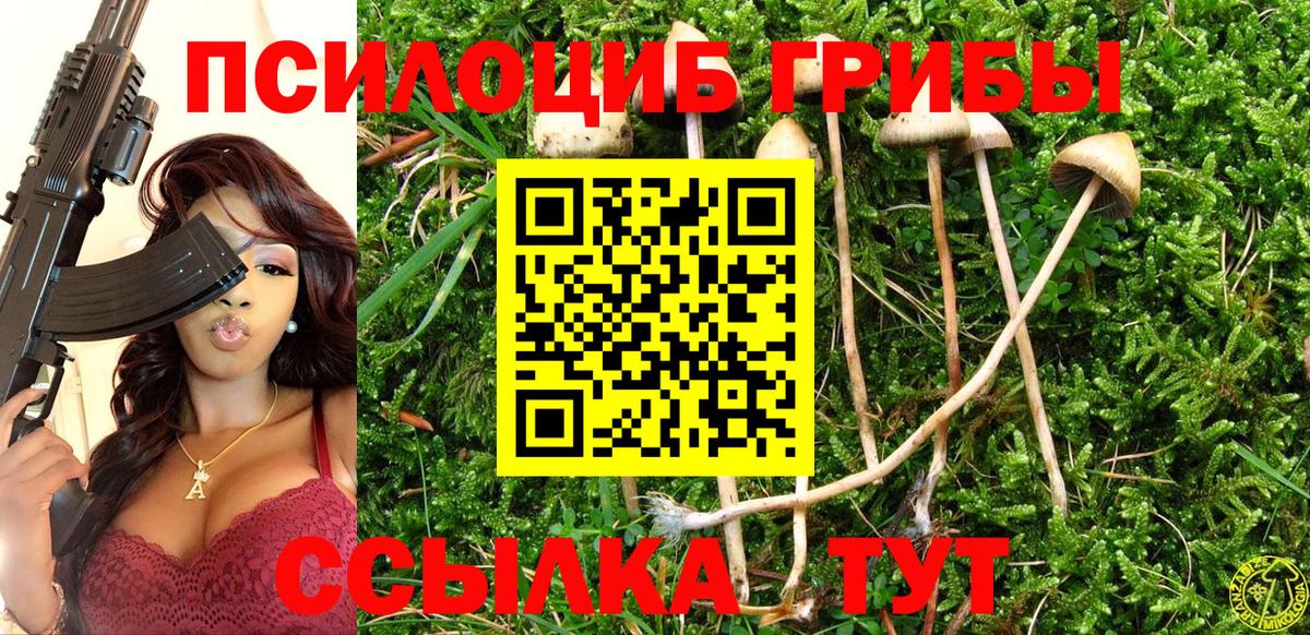 Псилоцибиновые грибы прущие грибы Котовск