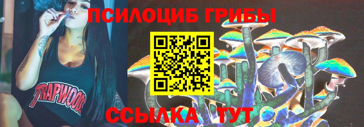 Котовск  Галлюциногенные грибы Psilocybine cubensis  Вход с VPN 