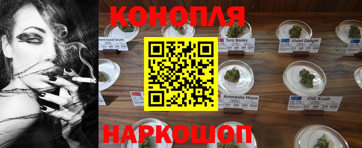 Бошки Шишки Amnesia Котовск